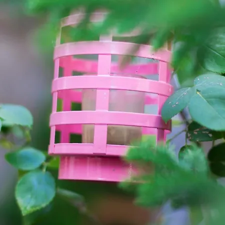 Bausan 12 Lägenhet Rom